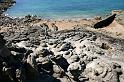 Bretagne (309)